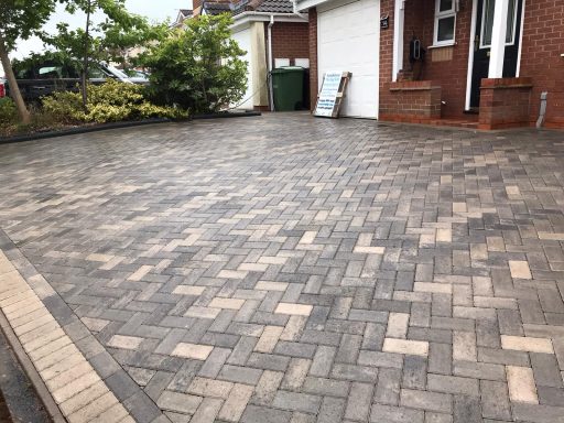 Paved driveway with a wet surface and surrounding greenery.